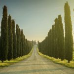 Onoranze Funebri Milano