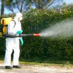 Disinfestazione Zanzare Roma